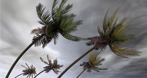 Hurricane winds coming in over Key West. MORE: AboutFantasyFest.com